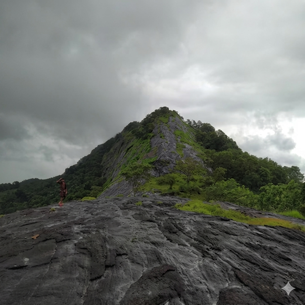 കൂനൻമല