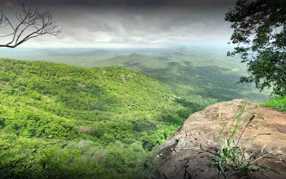 വട്ടമല