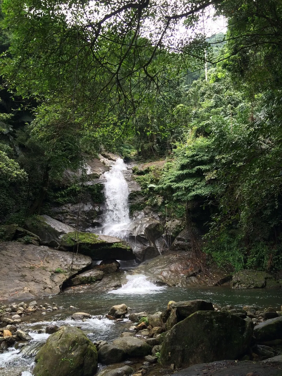 മീൻവല്ലം വെള്ളച്ചട്ടം