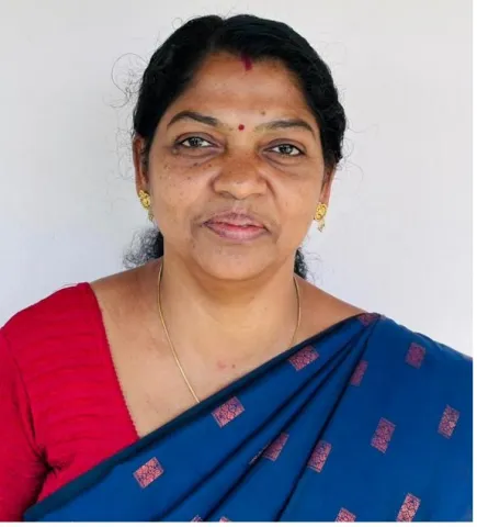 മിനി