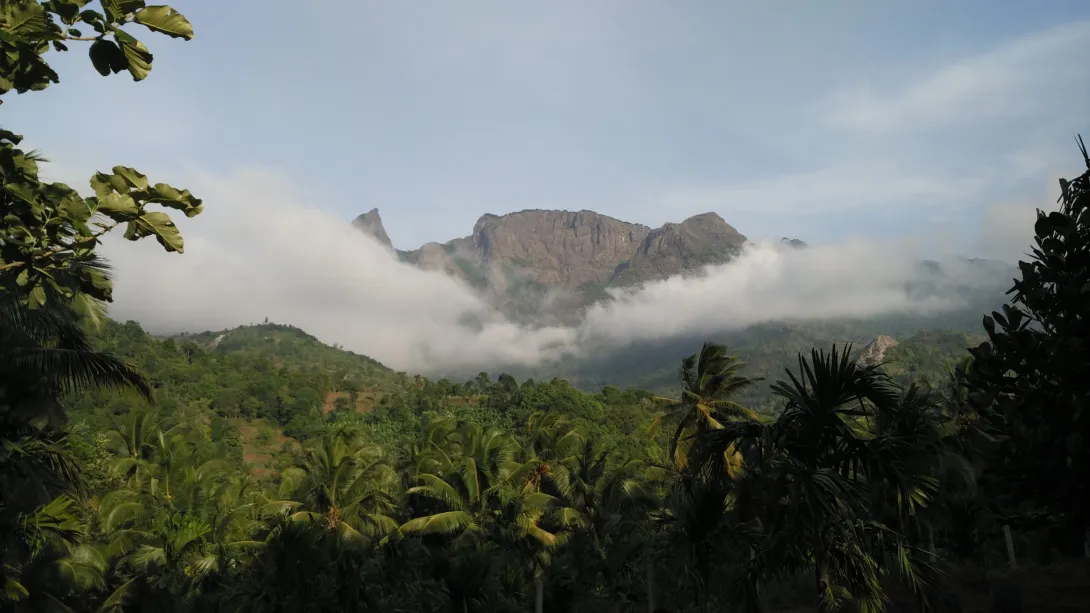 മല്ലീശ്വര മുടി