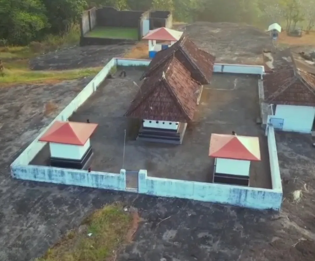 ഗാലറി