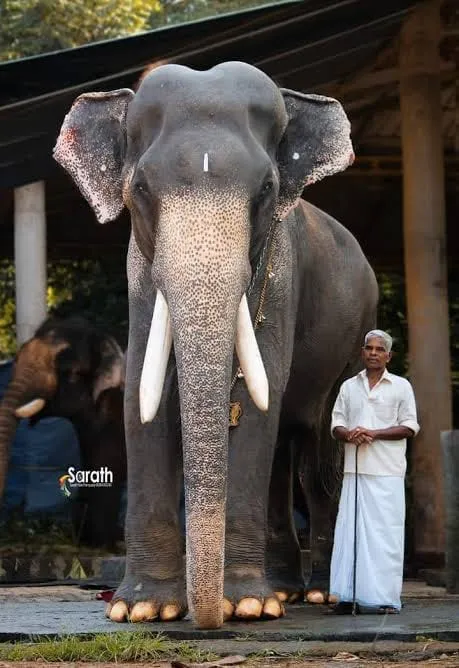 KONGAD KUTTISANKARAN