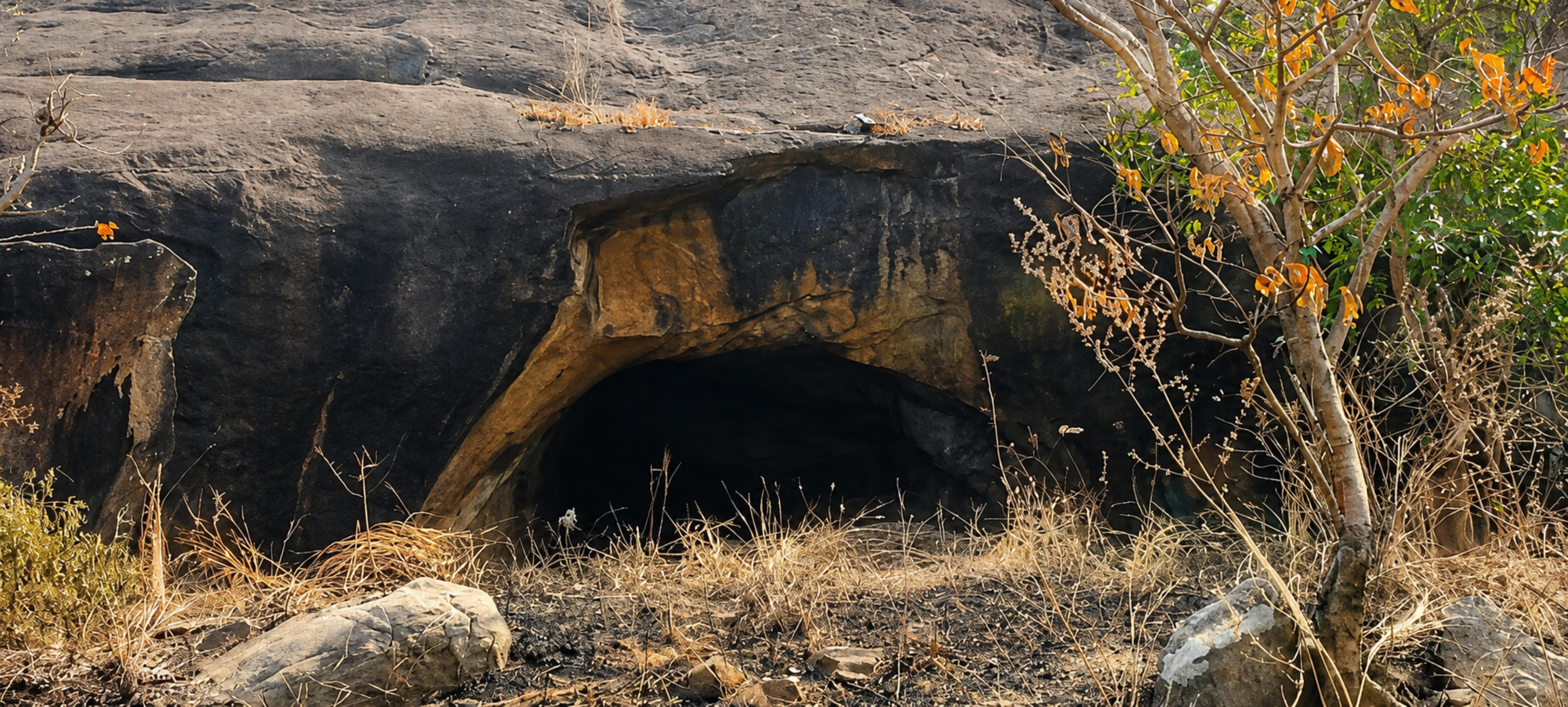 ഗുഹ