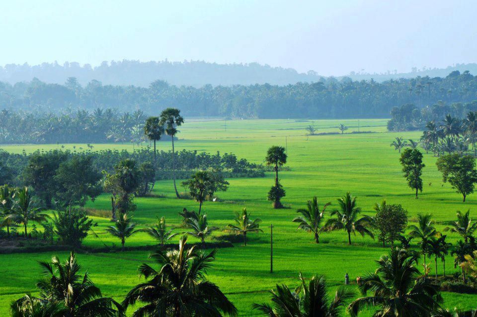 നല്ലേപ്പിള്ളി ഗ്രാമപഞ്ചായത്ത്