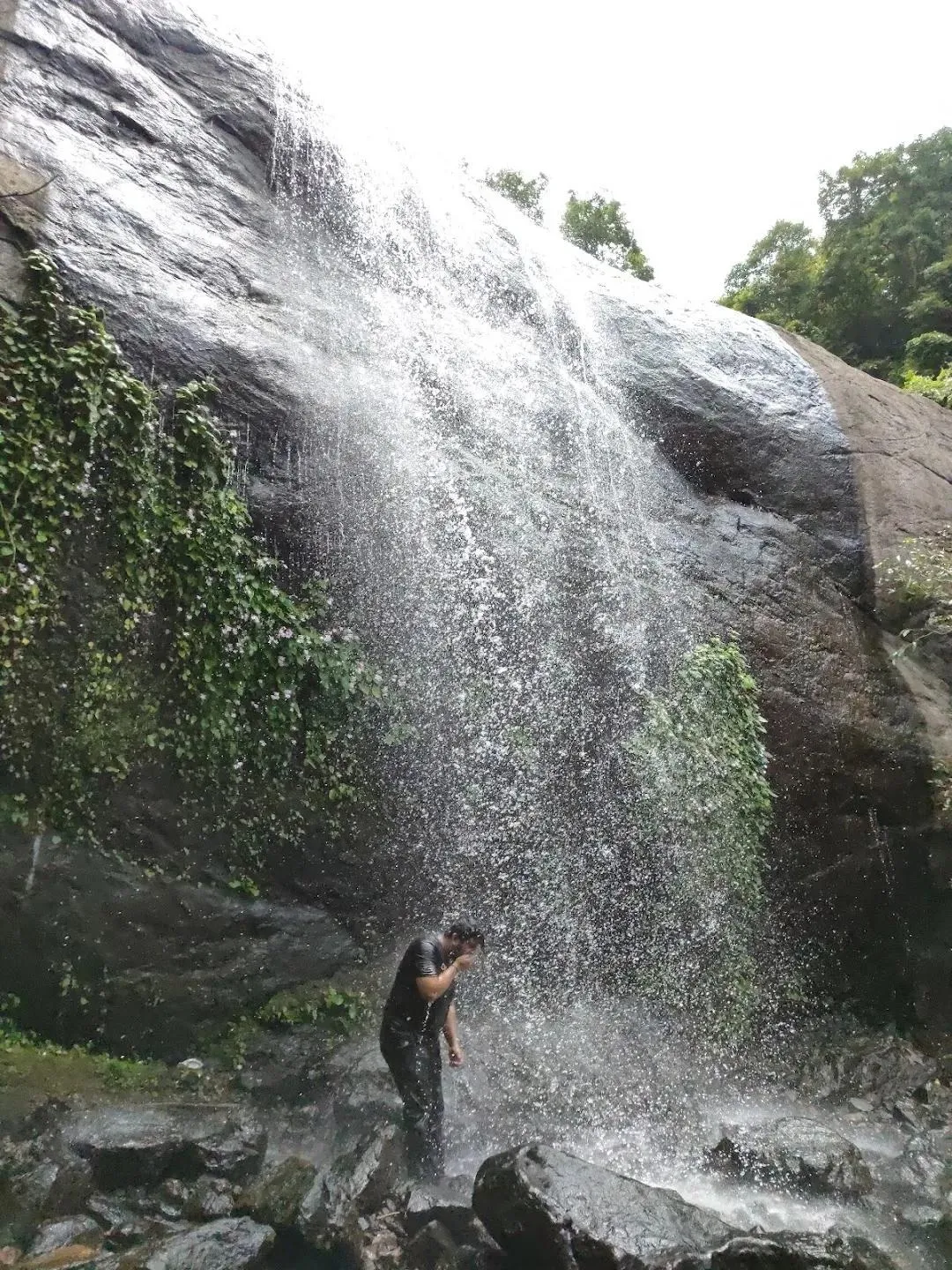 വെള്ളരിമേട്ട് വെള്ളച്ചാടം