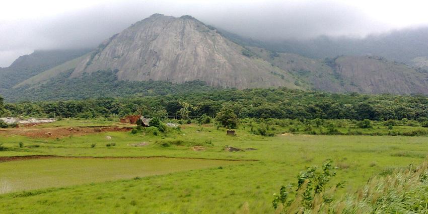 ഭൂമി ശാസ്ത്രം