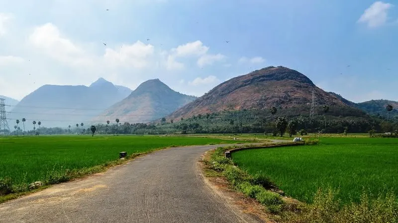 ഗാലറി