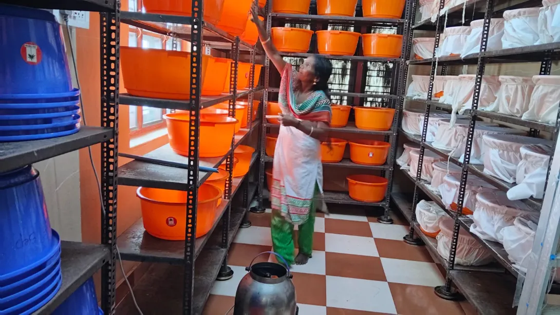 ട്രൈക്കോകാർഡ് യൂണിറ്റ്