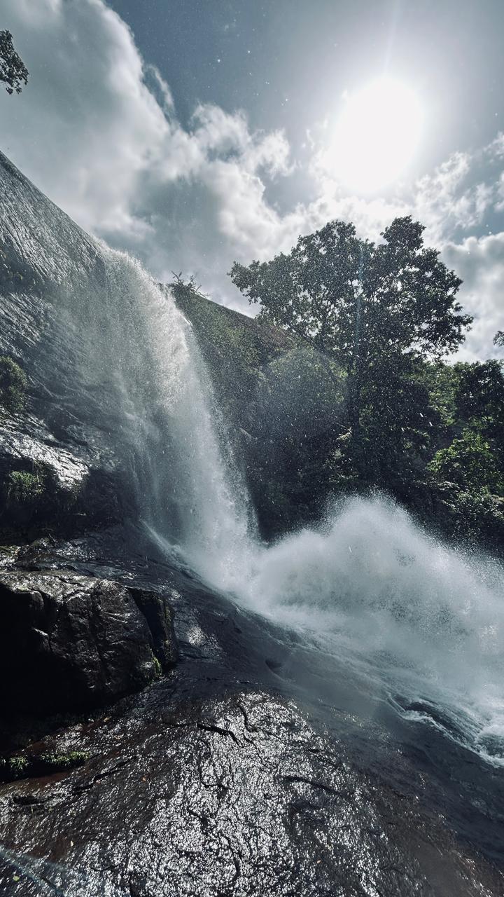പാലക്കുഴി വെള്ളച്ചാട്ടം