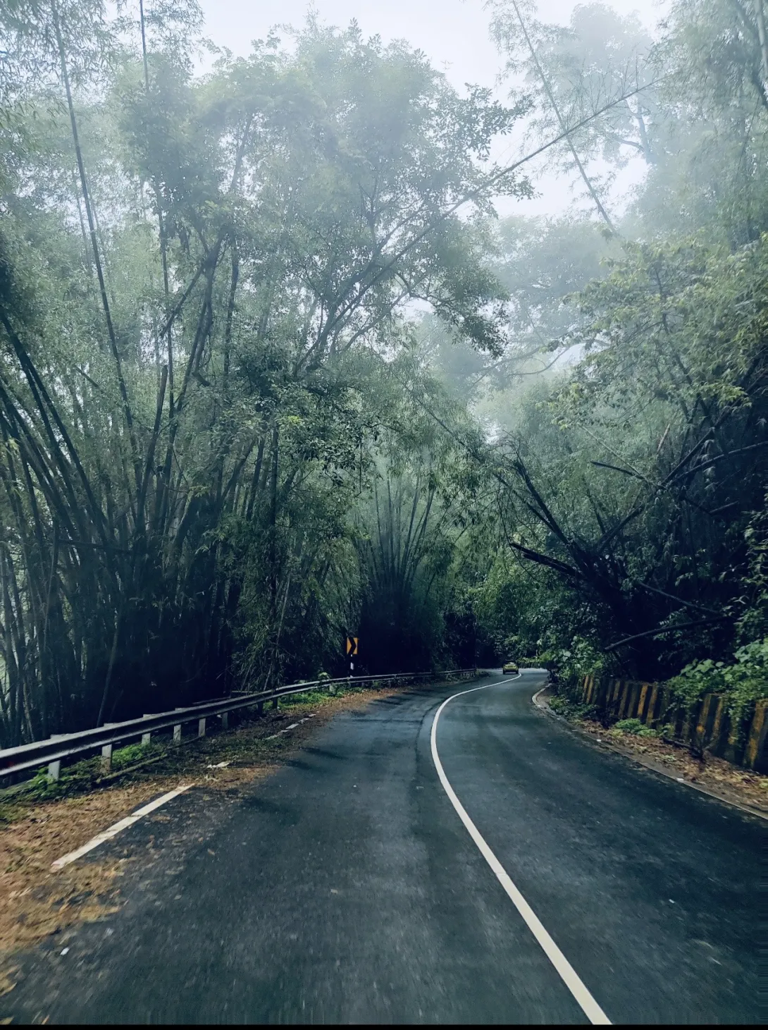 നാടുകാണി ചുരം