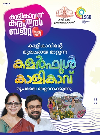 കരുതല്‍ ബഡ്ജറ്റ്