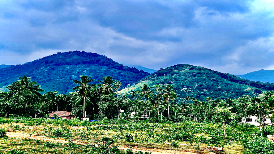 മല നിരകള്‍