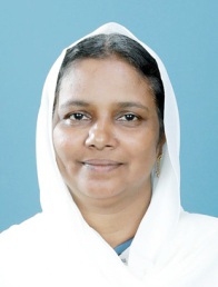 Development standing committee chairperson