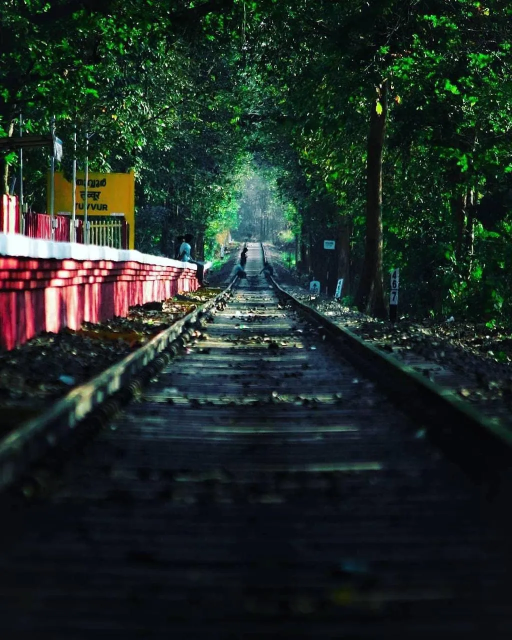 തുവ്വൂർ റെയിൽവേ സ്റ്റേഷൻ