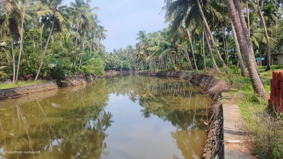 കനോലി കനാൽ
