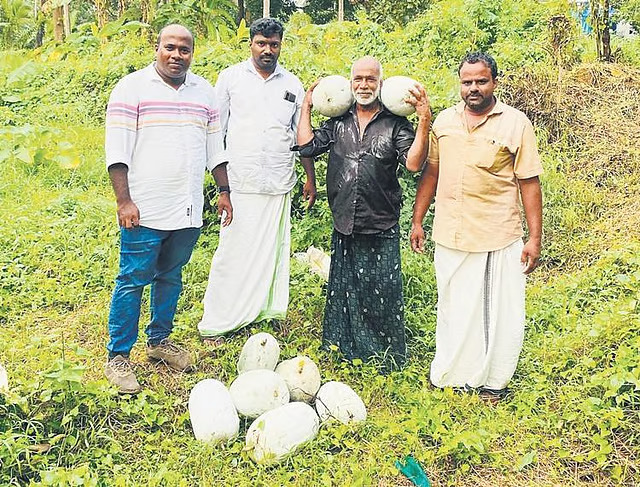kodur kumbalam