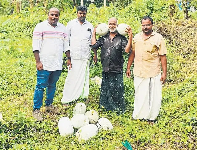 കോഡൂർ കുമ്പളം