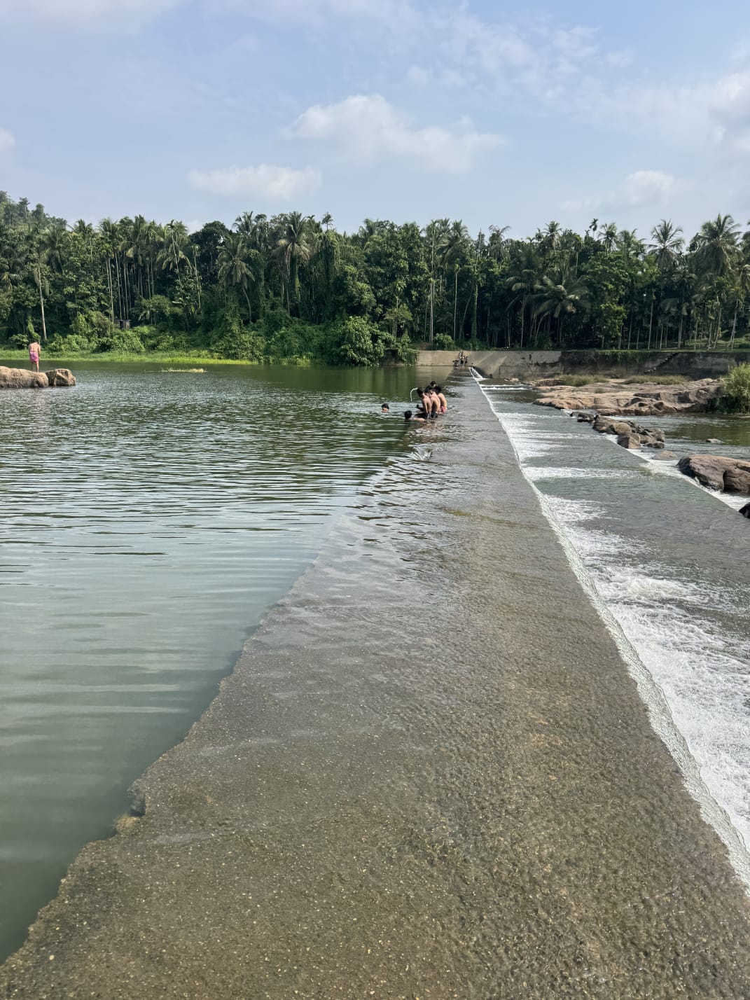 Elad Checkdam