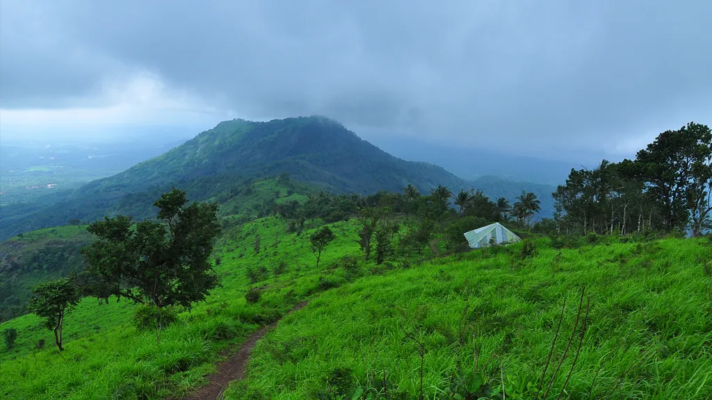 കൊടികുത്തിമല