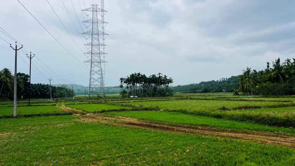 പുലാമന്തോള്‍ പാടം