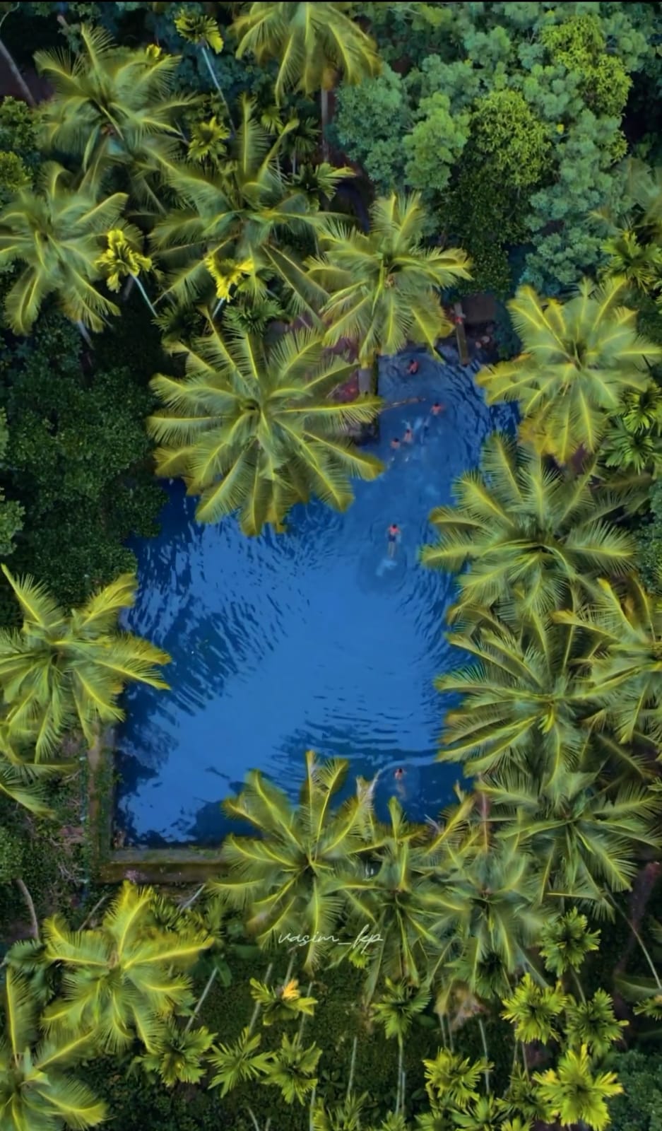 കൊറ്റിയോട് കുളം