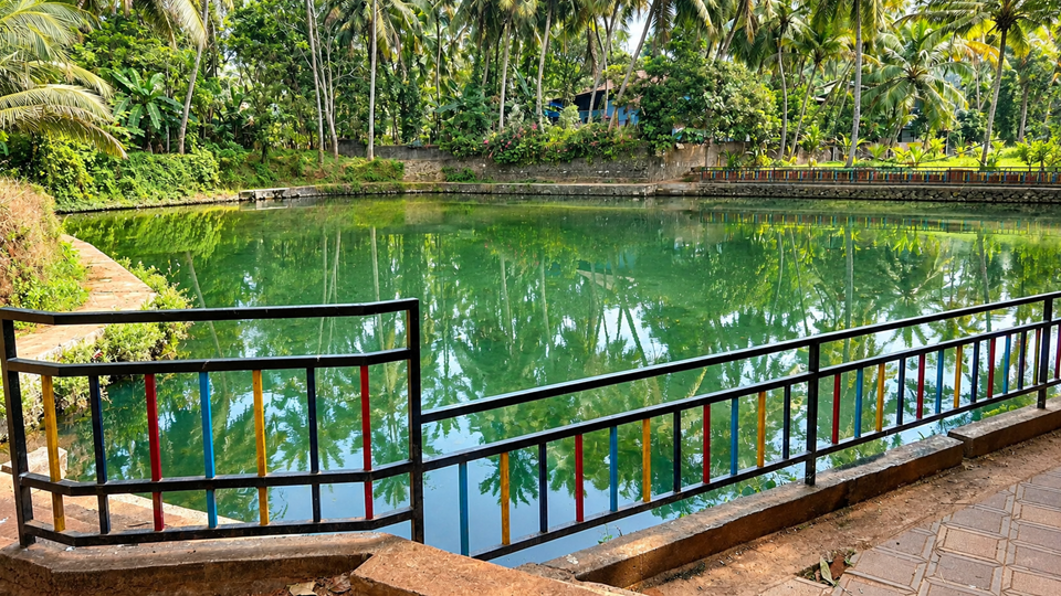 അയിരാനി ആമ്പൽക്കുളം