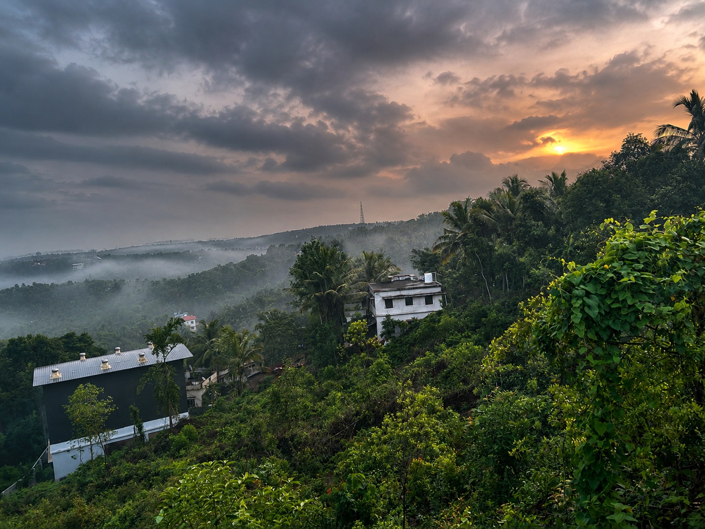Kalpakanchery Valiyaparamb View Point