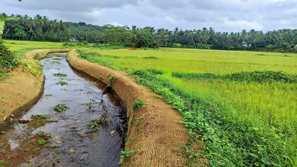 Coir Geotextile.