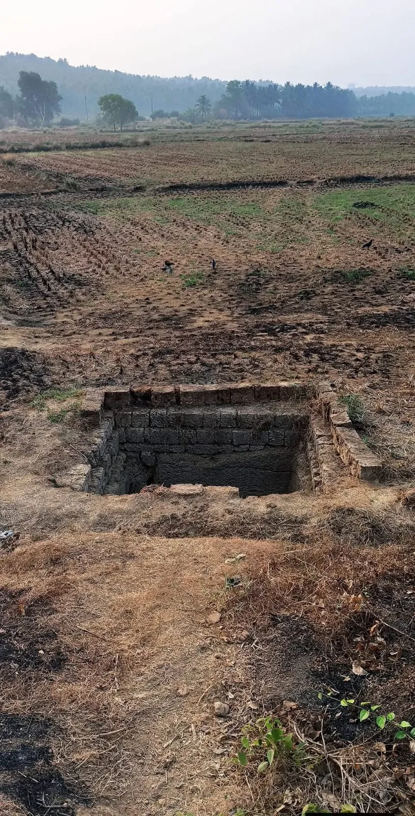 തലക്കുളങ്ങള്‍