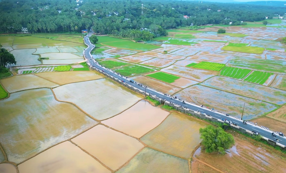 വേങ്ങര പാടം
