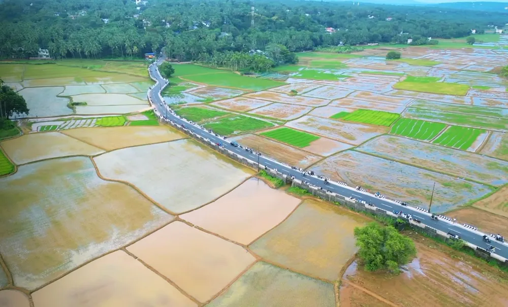 വേങ്ങര പാടം