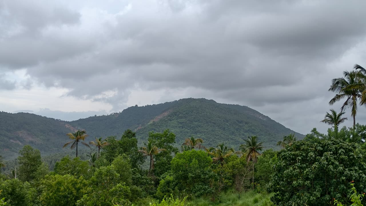 Landscape