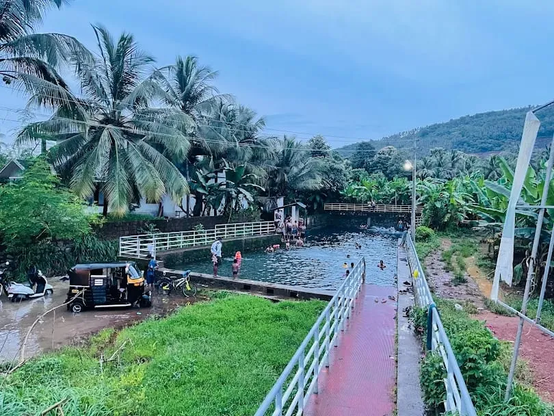 ചിറ്റടിക്കുളം