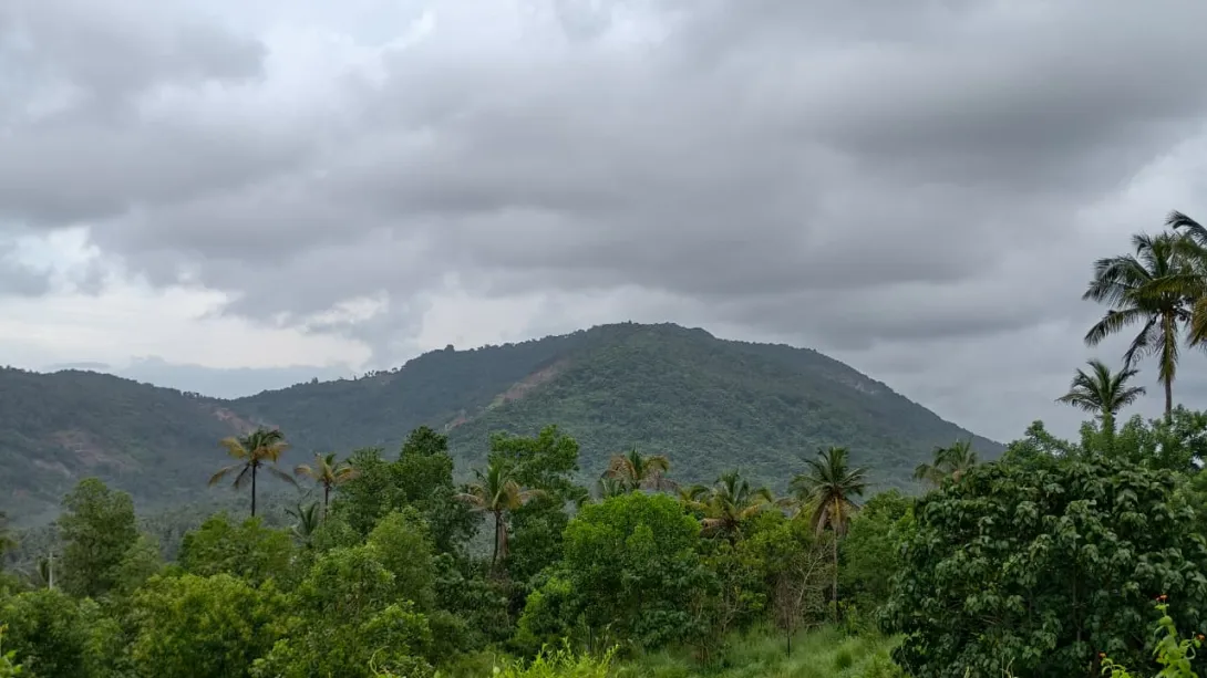 ഗ്രാമപഞ്ചായത്ത് പ്രദേശം