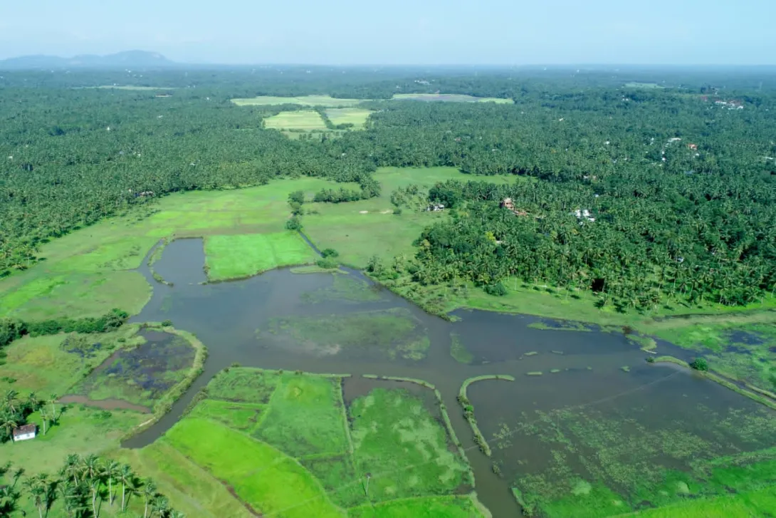പുഞ്ചപ്പാടം 