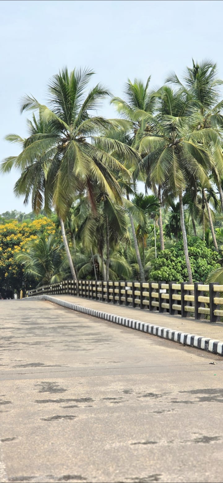 കാര്യാട് കടവ് പാലം