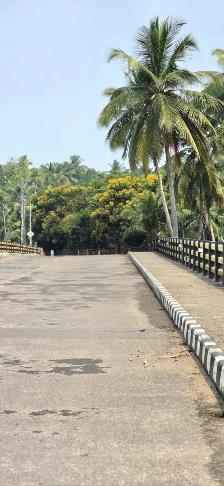 കാര്യാട് കടവ് പാലം