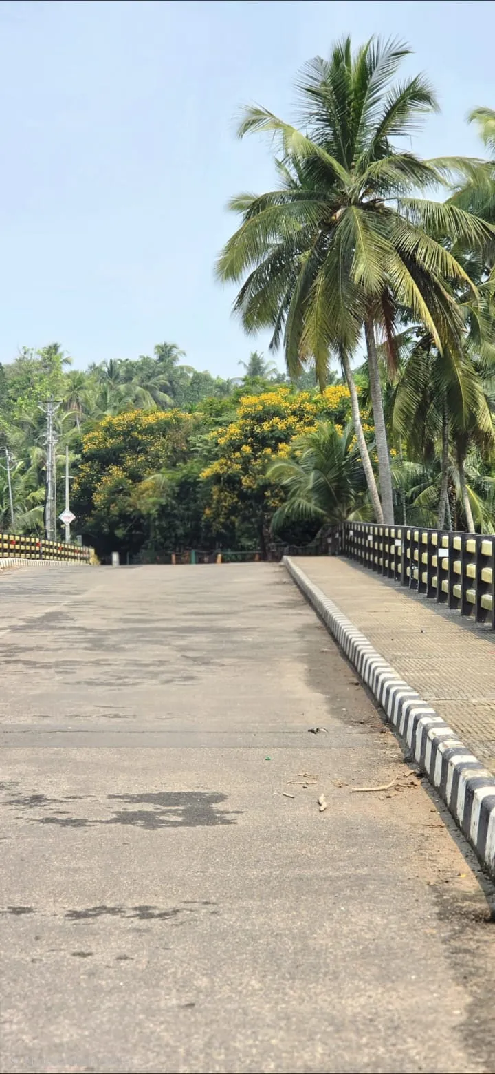 കളിയാട്ടമുക്ക് കാര്യാട് പാലം