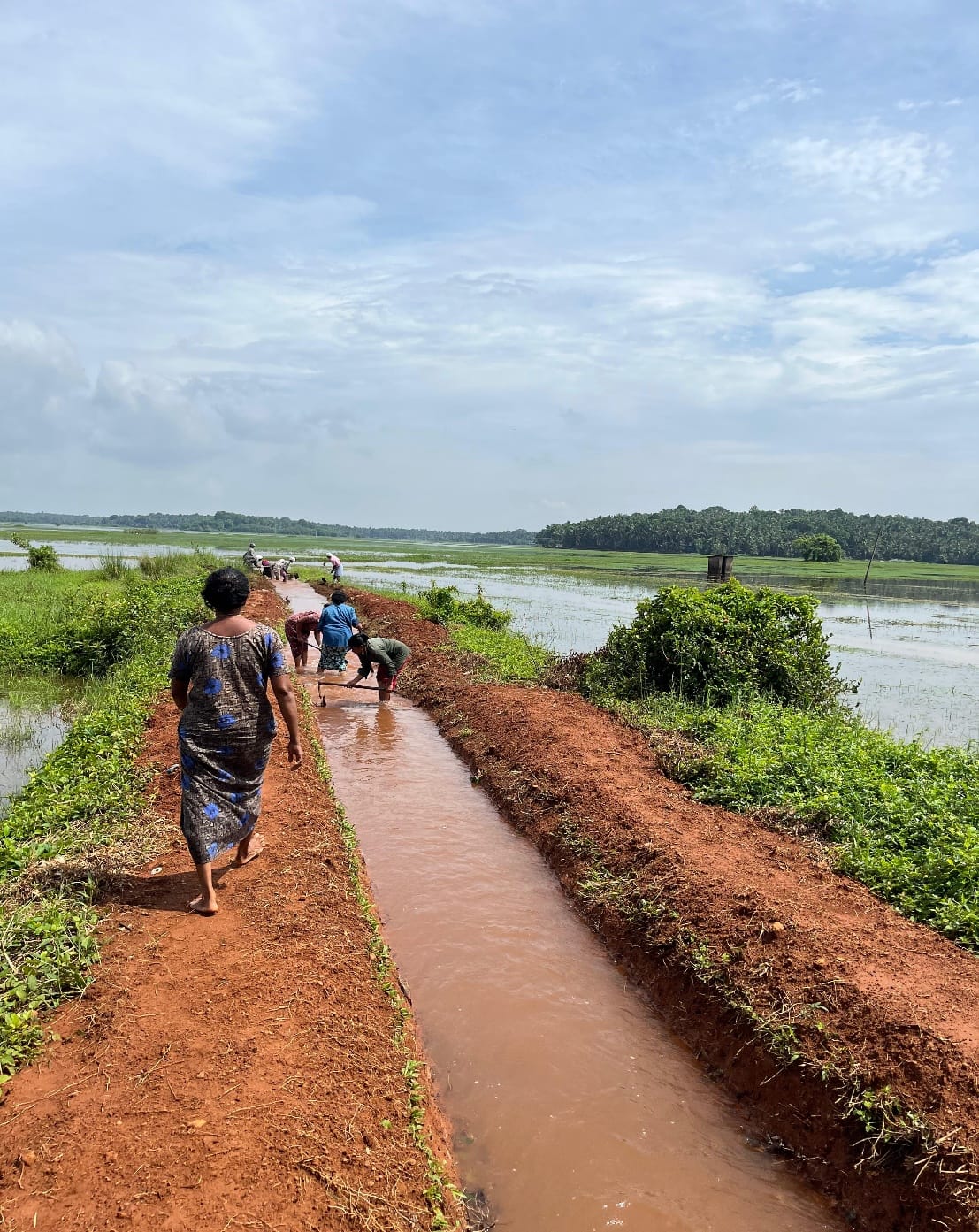 കാച്ചീരി കപ്പുംപുറം തോട് 