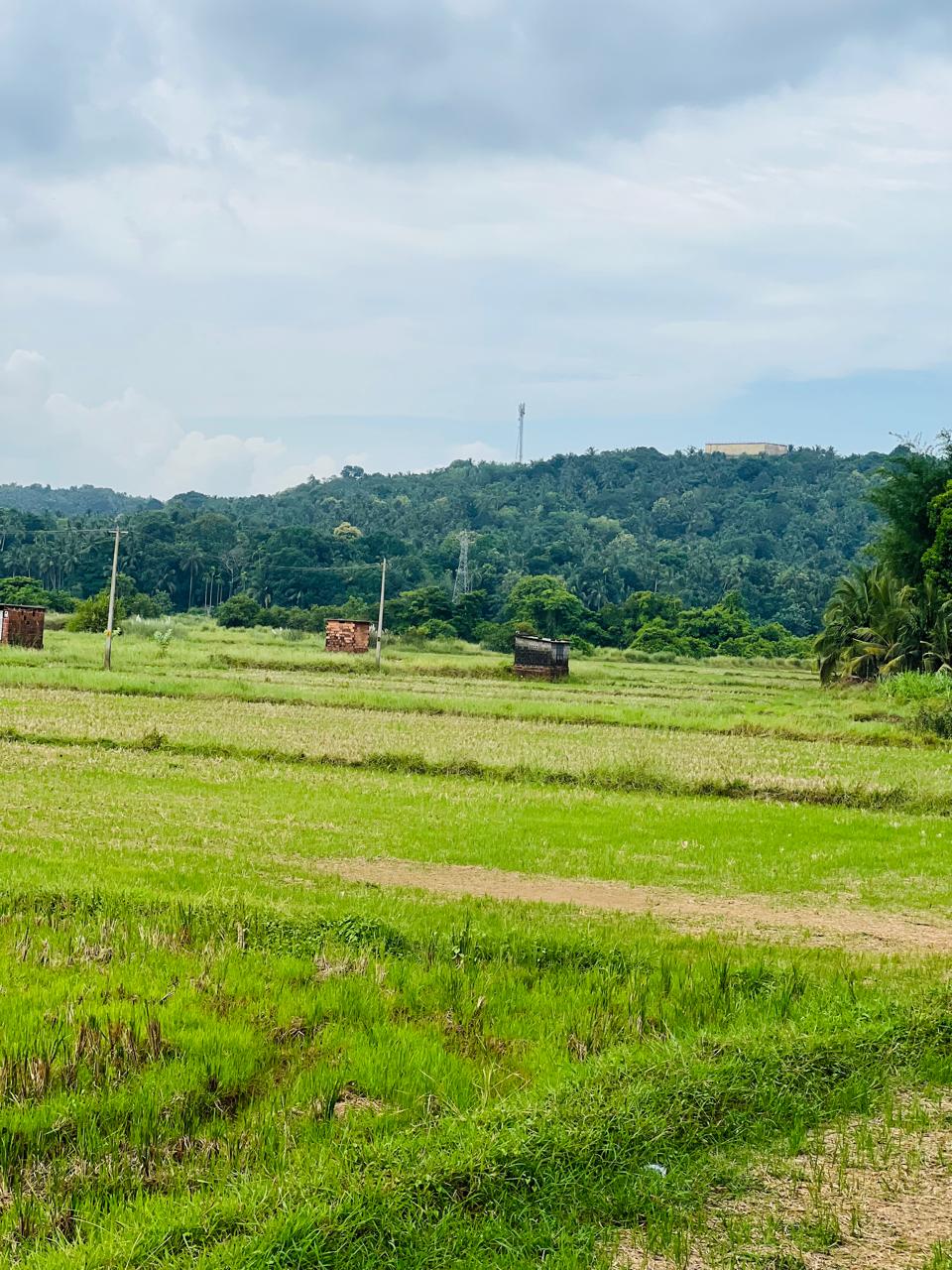 പുഞ്ചപ്പാടം വാര്‍ഡ് 10