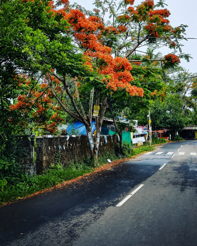 ഫോട്ടോ