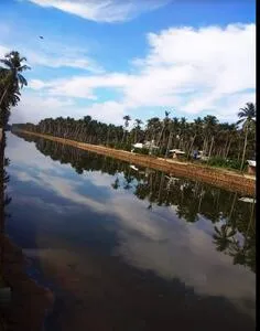 കനോലി കനാല്‍