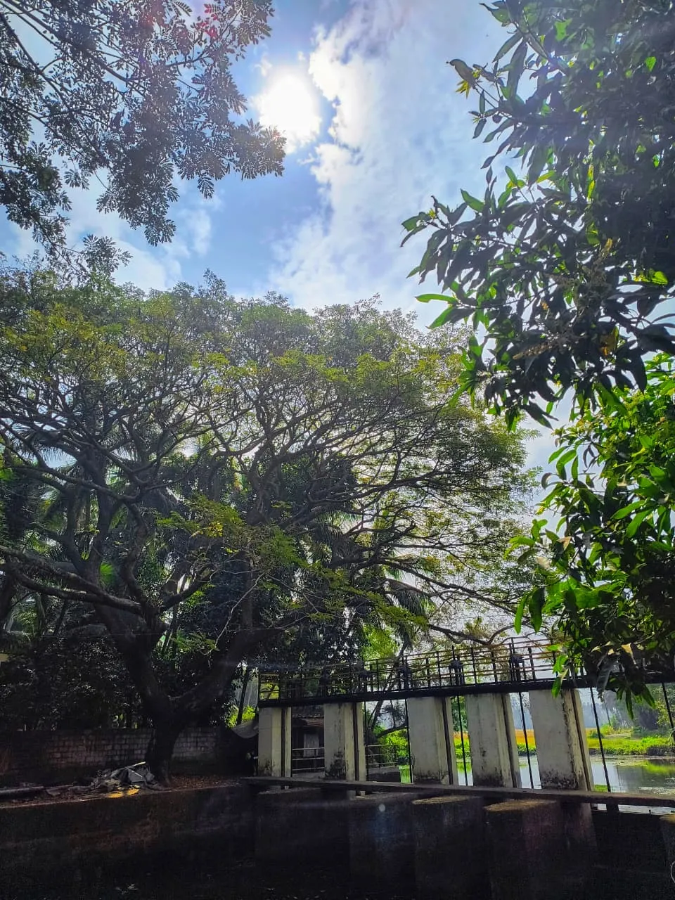 വാലില്ലാപുഴ തടയണ