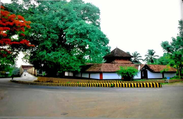 മിനി പമ്പ