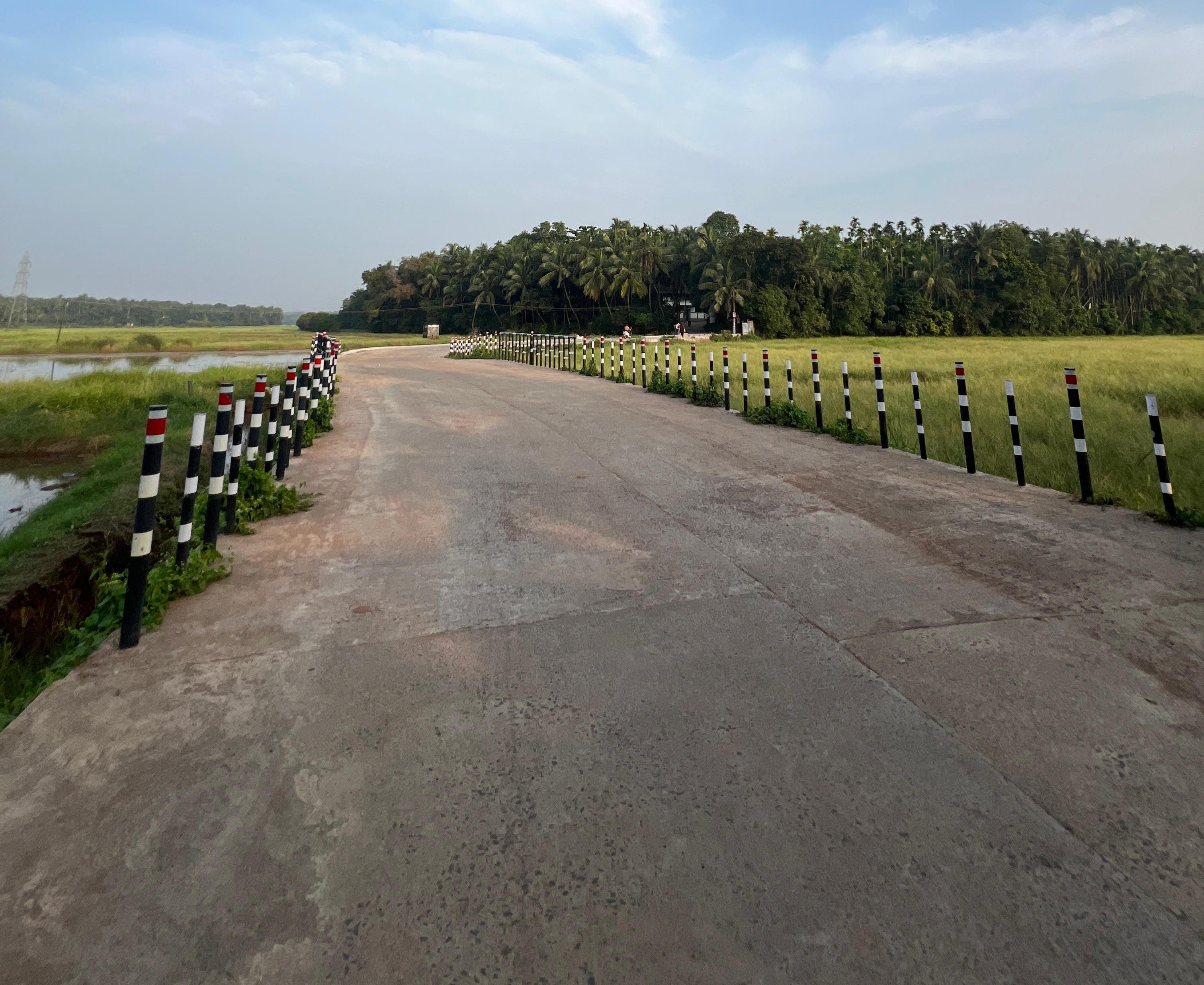 Thiruthy Paddy Field