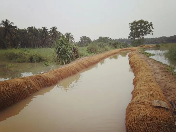 കയർ ഭൂവസ്ത്രം 