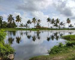 അയിനിച്ചിറ