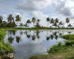 അയിനിച്ചിറ