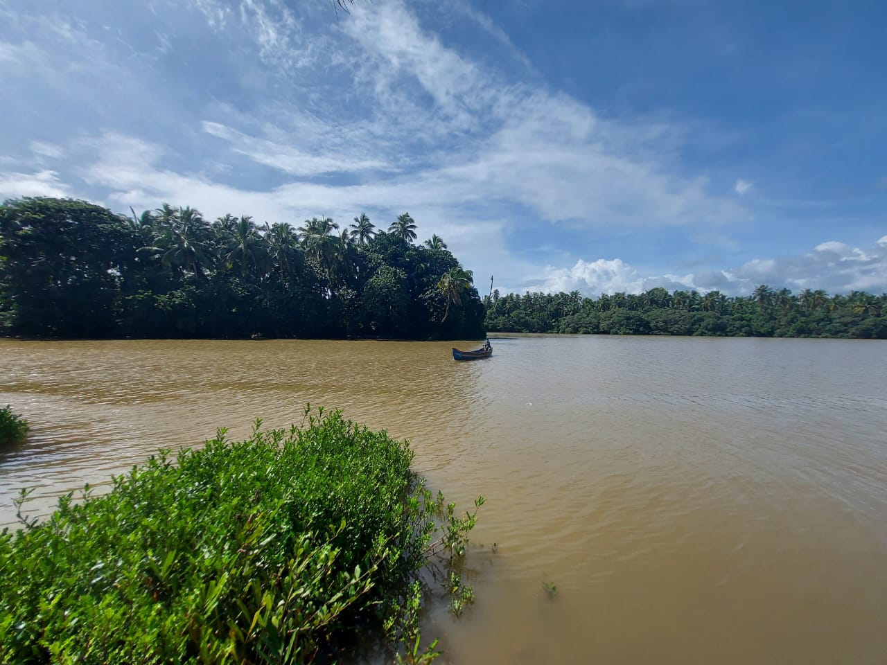 തുരുത്തി